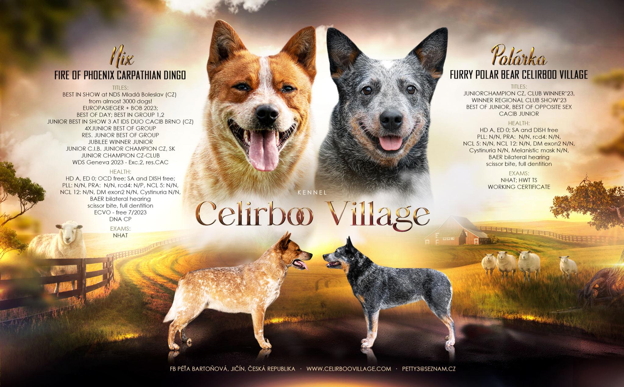 Advertising Celirboo Village.png